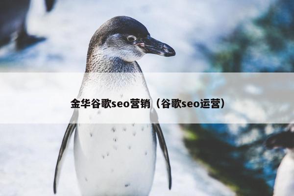 金华谷歌seo营销（谷歌seo运营）