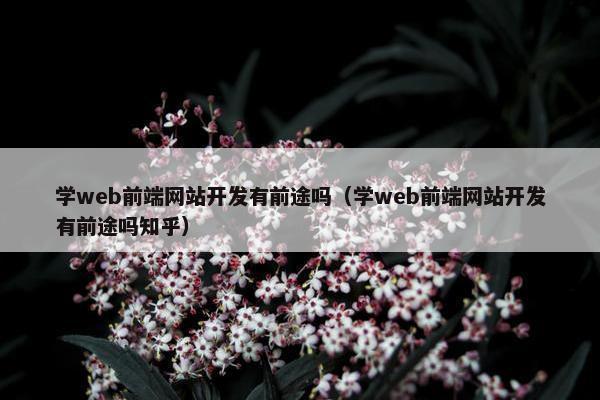 学web前端网站开发有前途吗（学web前端网站开发有前途吗知乎）