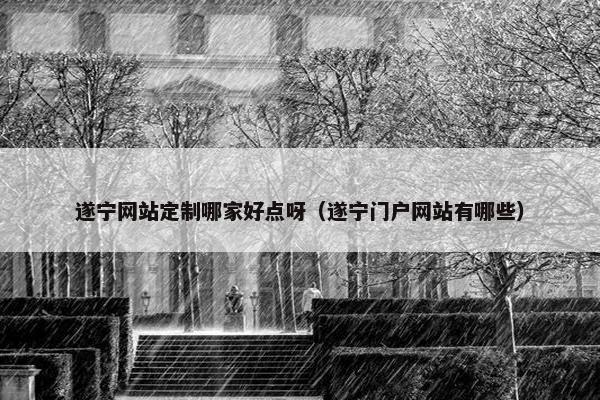 遂宁网站定制哪家好点呀（遂宁门户网站有哪些）