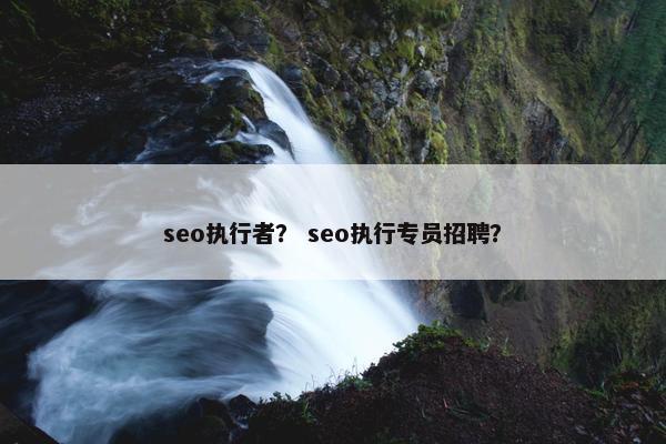 seo执行者？ seo执行专员招聘？