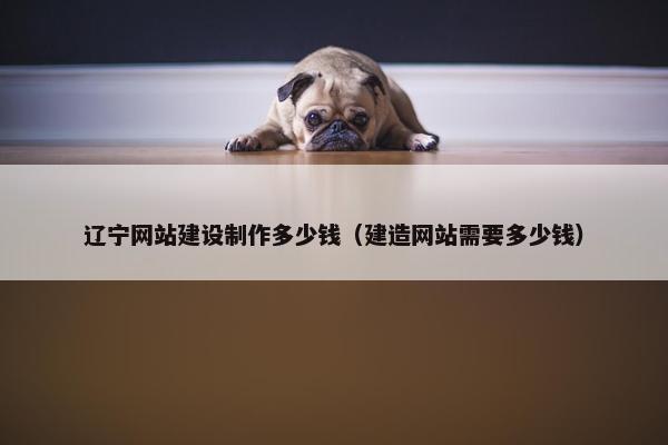 辽宁网站建设制作多少钱（建造网站需要多少钱）