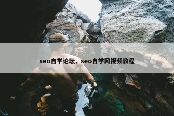seo自学论坛，seo自学网视频教程