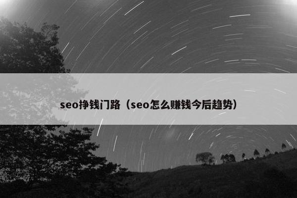 seo挣钱门路（seo怎么赚钱今后趋势）