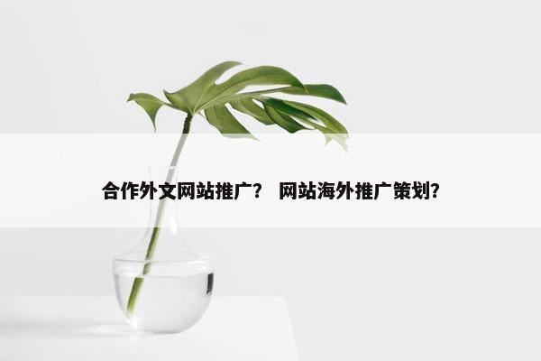 合作外文网站推广？ 网站海外推广策划？