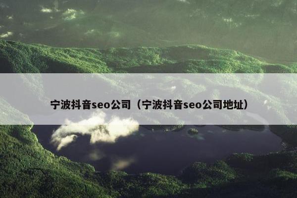 宁波抖音seo公司（宁波抖音seo公司地址）
