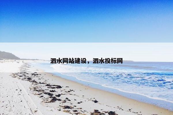 泗水网站建设，泗水投标网