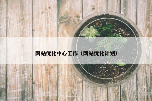 网站优化中心工作（网站优化计划）
