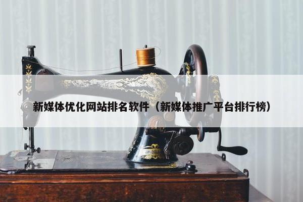 新媒体优化网站排名软件（新媒体推广平台排行榜）