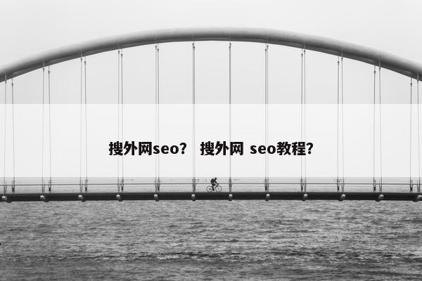 搜外网seo？ 搜外网 seo教程？