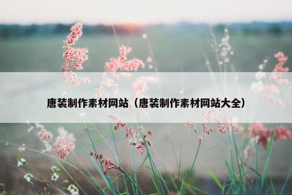 唐装制作素材网站（唐装制作素材网站大全）