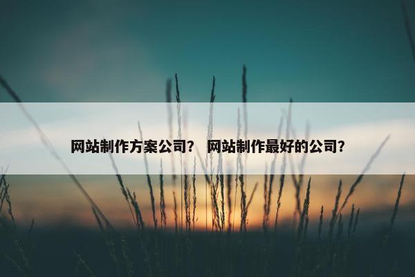 网站制作方案公司？ 网站制作最好的公司？