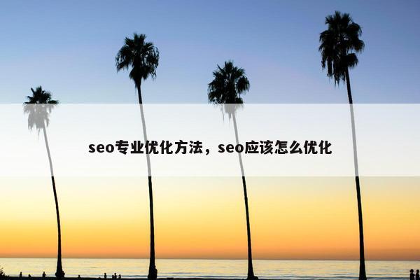 seo专业优化方法，seo应该怎么优化