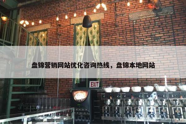 盘锦营销网站优化咨询热线，盘锦本地网站