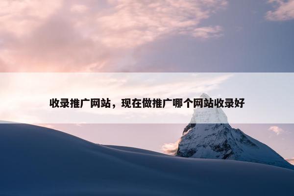 收录推广网站，现在做推广哪个网站收录好
