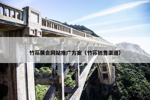 竹荪展会网站推广方案（竹荪销售渠道）