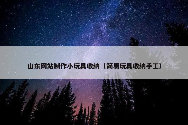 山东网站制作小玩具收纳（简易玩具收纳手工）