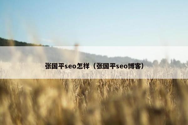 张国平seo怎样（张国平seo博客）