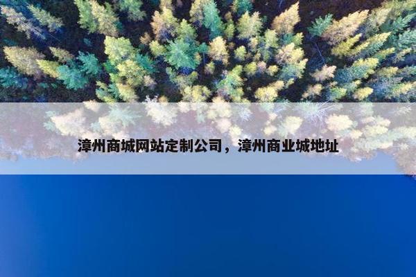 漳州商城网站定制公司，漳州商业城地址