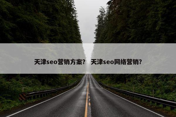 天津seo营销方案？ 天津seo网络营销？