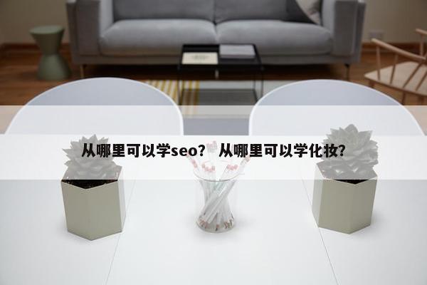 从哪里可以学seo？ 从哪里可以学化妆？