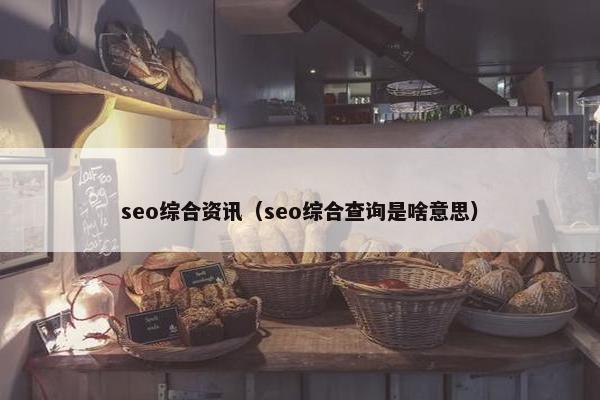 seo综合资讯（seo综合查询是啥意思）