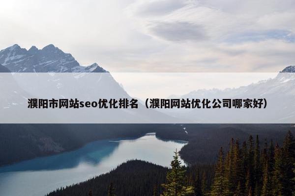 濮阳市网站seo优化排名（濮阳网站优化公司哪家好）