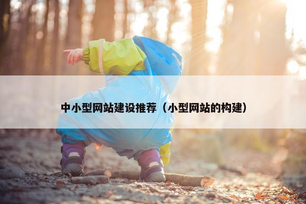 中小型网站建设推荐（小型网站的构建）