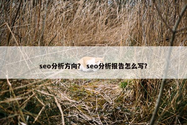 seo分析方向？ seo分析报告怎么写？