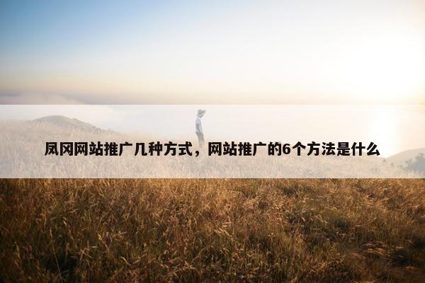 凤冈网站推广几种方式，网站推广的6个方法是什么