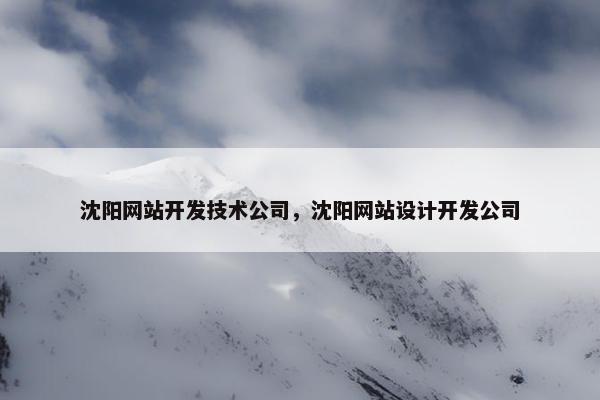 沈阳网站开发技术公司，沈阳网站设计开发公司