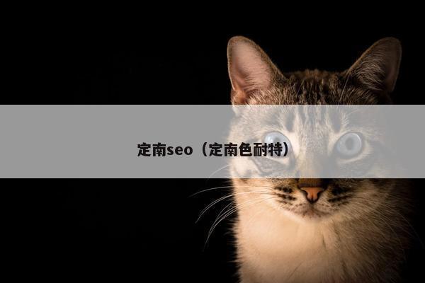 定南seo（定南色耐特）