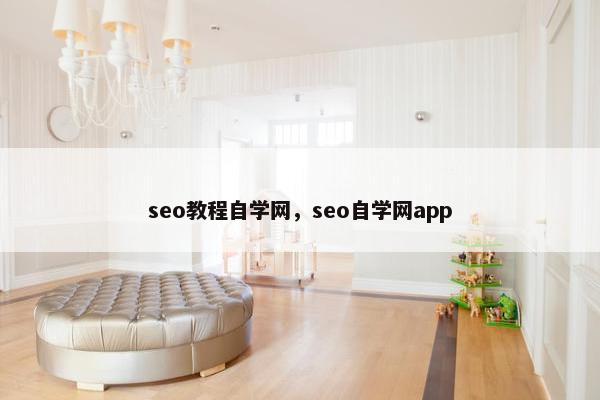 seo教程自学网，seo自学网app