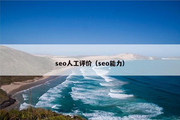 seo人工评价（seo能力）