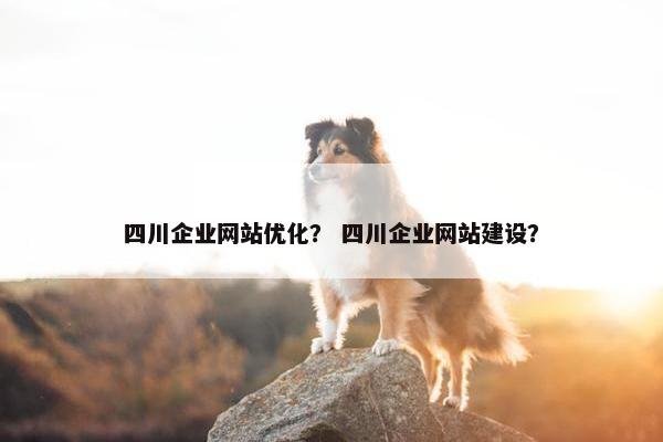 四川企业网站优化？ 四川企业网站建设？