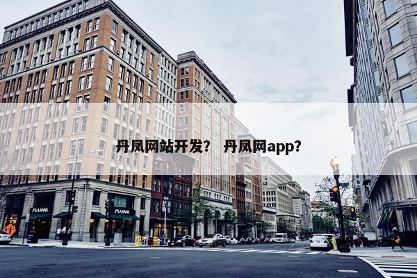 丹凤网站开发？ 丹凤网app？