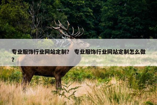 专业服饰行业网站定制？ 专业服饰行业网站定制怎么做？