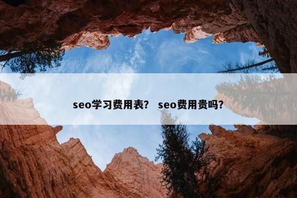 seo学习费用表？ seo费用贵吗？