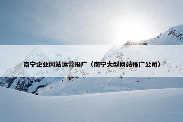 南宁企业网站运营推广（南宁大型网站推广公司）