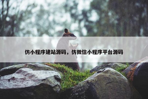 仿小程序建站源码，仿微信小程序平台源码