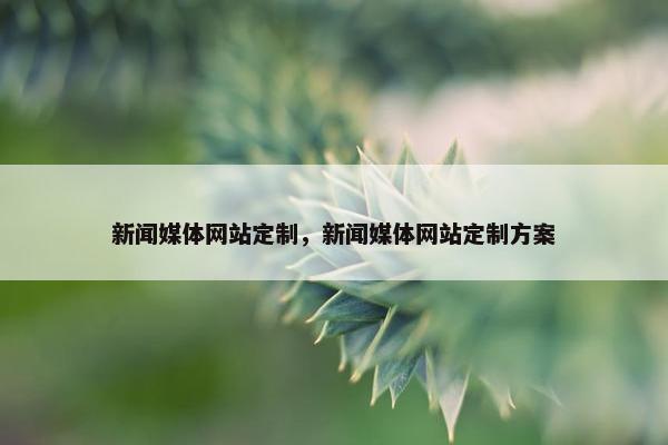 新闻媒体网站定制，新闻媒体网站定制方案