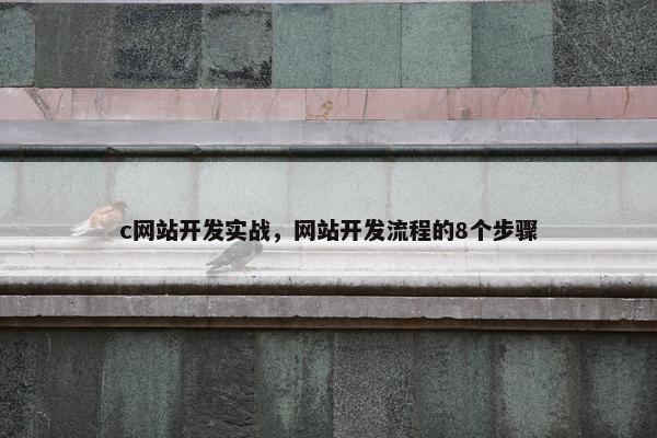 c网站开发实战，网站开发流程的8个步骤