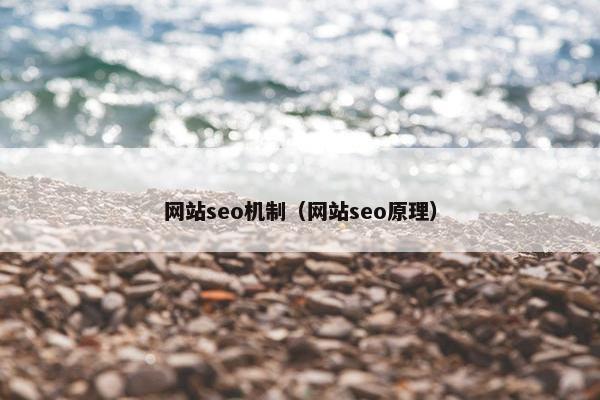 网站seo机制（网站seo原理）