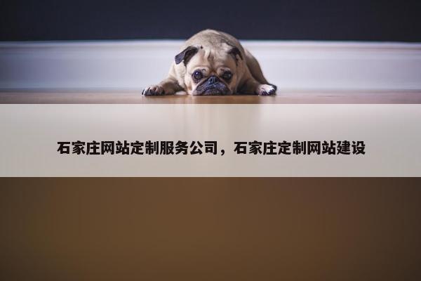 石家庄网站定制服务公司，石家庄定制网站建设