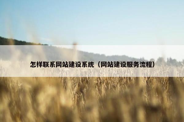 怎样联系网站建设系统（网站建设服务流程）