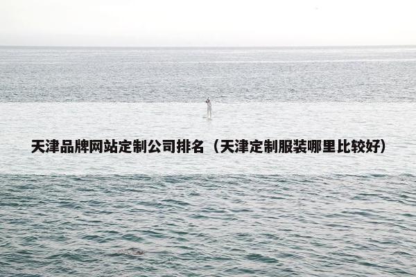 天津品牌网站定制公司排名（天津定制服装哪里比较好）