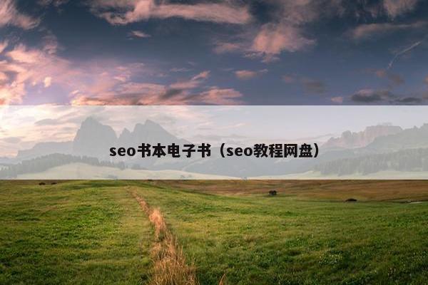 seo书本电子书（seo教程网盘）