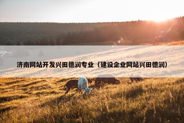 济南网站开发兴田德润专业（建设企业网站兴田德润）