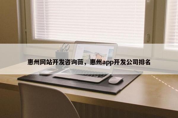 惠州网站开发咨询薇，惠州app开发公司排名