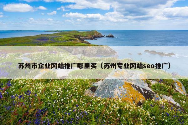 苏州市企业网站推广哪里买（苏州专业网站seo推广）