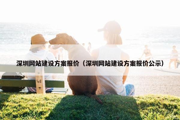 深圳网站建设方案报价（深圳网站建设方案报价公示）